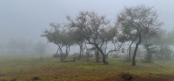 Gobernación de Dhofar