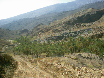 Jebel Shams dans la wilaya d’Al Hamra	