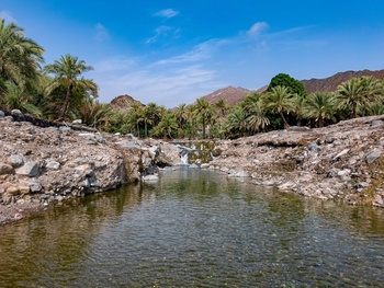 Wilaya de Madha