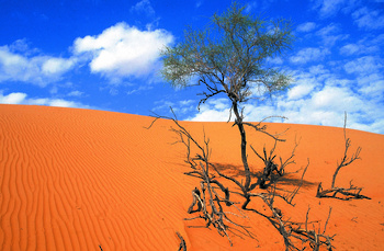 Dunes de sable de Wilaya de Bidiya 