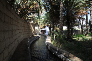 Falaj Al Muhaydh dans la wilaya de Samail	
