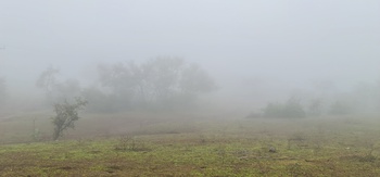 Gouvernorat de Dhofar
