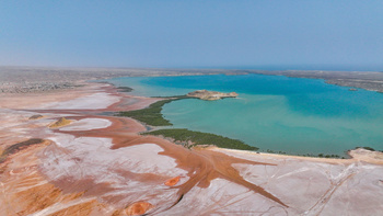 El estuario “Grama” en Ras Al Hadd – Wilaya de Sur