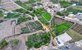 Oasis de Saʿra dans le gouvernorat d’Al Buraimi	