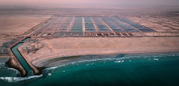 Acuicultura de camarón – Khuwaymah en Jaalan Bani Bu Ali