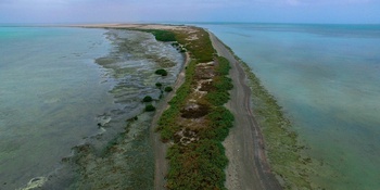 Isla de Marsis – Wilaya de Masirah