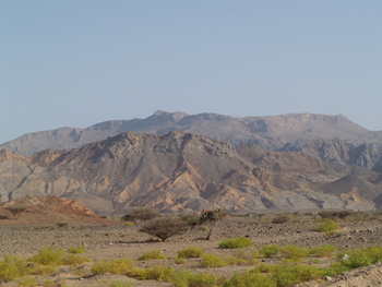 محمية جبل قهوان الطبيعية