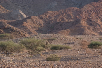 Al Saleel Natural Park Reserve