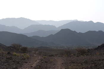 Naturschutzgebiet Al Saleel – Gouvernement Al Sharqiyah Süd