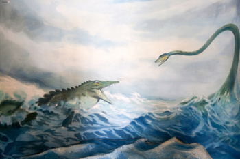Musée d’Histoire naturelle