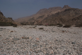 محمية جبل سمحان