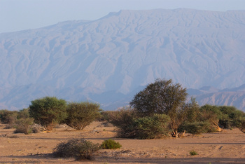 Naturschutzgebiet Al Saleel – Gouvernement Al Sharqiyah Süd