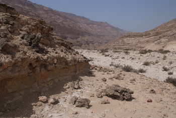 محمية جبل سمحان