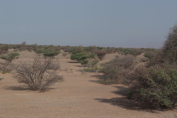 Al Saleel Natural Park Reserve