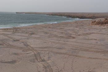 Réserve des tortues dans le gouvernorat d’Al Sharqiya Sud, Ras Al Hadd