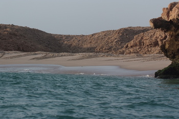 Turtle Reserve in South Al Sharqiyah Governorate