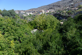 محمية الجبل الاخضر للمناظر الطبيعية