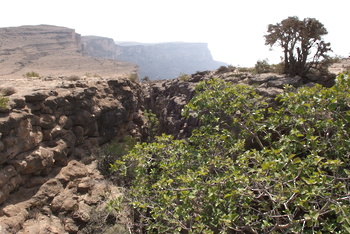 محمية جبل سمحان