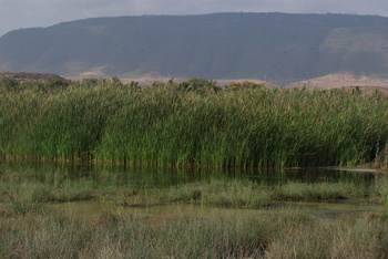 محمية خور طاقة