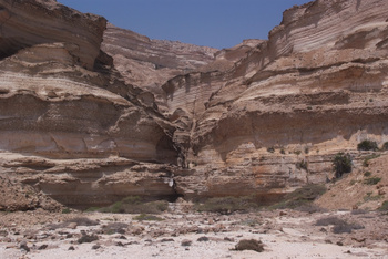 محمية جبل سمحان