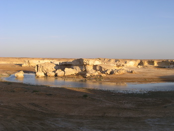 محمية الاراضي الرطبة