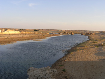 محمية الاراضي الرطبة
