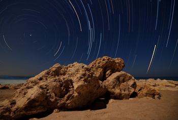 Turtle Reserve in South Al Sharqiyah Governorate