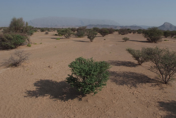 Al Saleel Natural Park Reserve