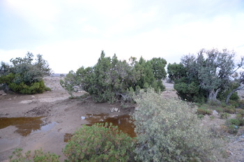 محمية الجبل الاخضر للمناظر الطبيعية