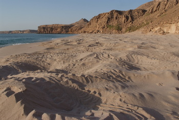 Turtle Reserve in South Al Sharqiyah Governorate