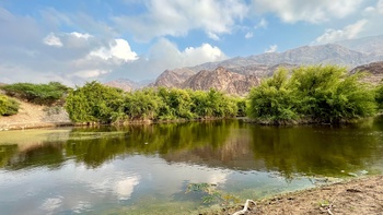 محمية السرين الطبيعية