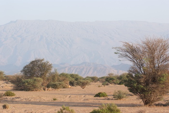 Naturschutzgebiet Al Saleel – Gouvernement Al Sharqiyah Süd