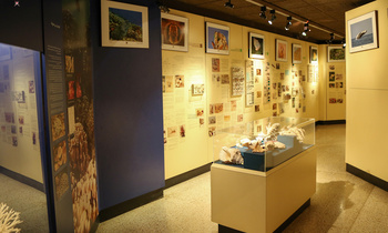 Musée d’Histoire naturelle