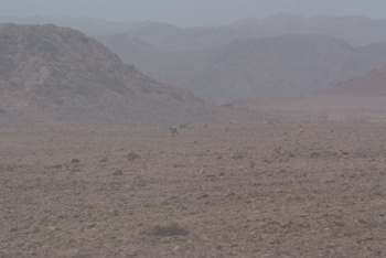 محمية جبل سمحان