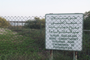 محمية خور صولي