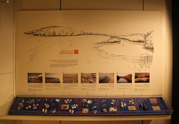 Musée d’Histoire naturelle
