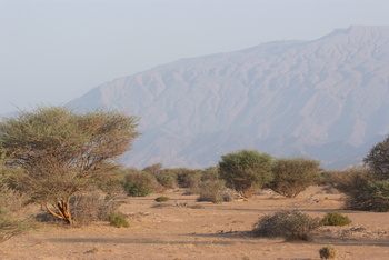 Parc naturel d\'Al Saleel
