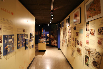 Musée d’Histoire naturelle