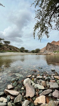 محمية السرين الطبيعية