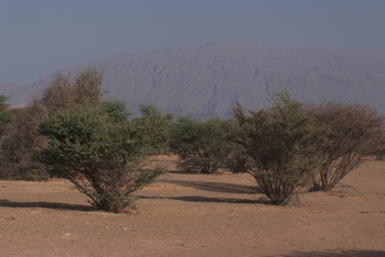 Al Saleel Natural Park Reserve