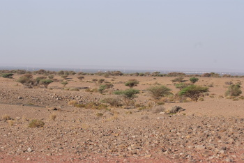 حديقة السليل الطبيعية