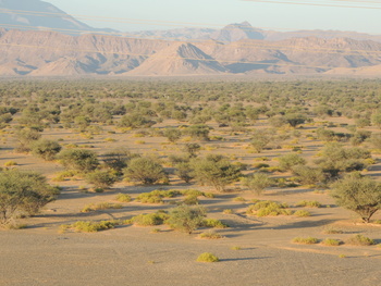 Naturschutzgebiet Al Saleel – Gouvernement Al Sharqiyah Süd