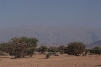 Naturschutzgebiet Al Saleel – Gouvernement Al Sharqiyah Süd