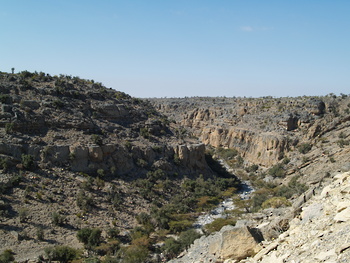محمية الجبل الاخضر للمناظر الطبيعية