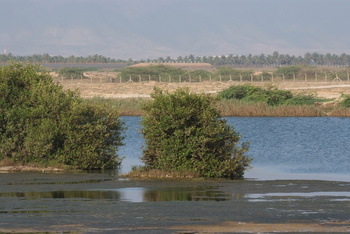 Naturreservat Khor Al Dahariz
