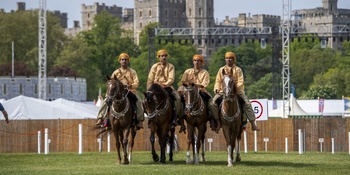 Caballos y Camellos