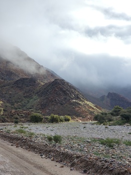 Reserva Natural de Al Sareen 