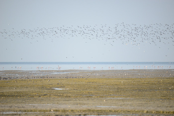 Naturreservat der Feuchtgebiete