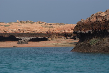 محمية جزر الديمانيات الطبيعية