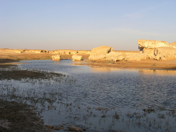 Reserva de Humedales